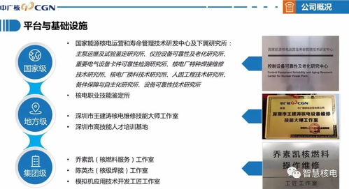 喜訊 公司成功通過國家高新技術(shù)企業(yè)認(rèn)定，技術(shù)服務(wù)獲權(quán)威認(rèn)可